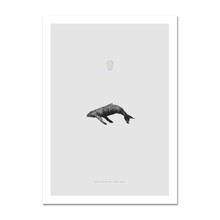 Paper Collective - Whale Reprise 인테리어 포스터