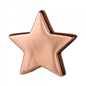 블루밍빌레 Decoration Large Star, Copper